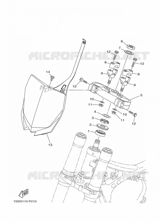 DIRECTION Yamaha MOTO 250 2019 YZ  YZ250