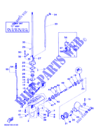 CARTER INFERIEUR ET TRANSMISSION pour Yamaha 5C 2 Stroke, Manual Starter, Tiller Handle, Manual Tilt, Pre-Mixing de 2008