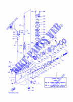 CARTER INFERIEUR ET TRANSMISSION 1 pour Yamaha E60H Enduro, Manual Starter, Tiller Handle, Hydro Trim & Tilt, Pre-Mixing, Shaft 20