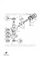 VILEBREQUIN / PISTON pour Yamaha F40B 4 Stroke de 2008