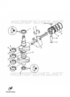 VILEBREQUIN / PISTON pour Yamaha F40B 4 Stroke de 2008