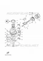 VILEBREQUIN / PISTON pour Yamaha F150G Electric Starter, Remote Control, Power Trim & Tilt, Shaft 20