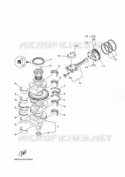 VILEBREQUIN / PISTON pour Yamaha F150G Electric Starter, Remote Control, Power Trim & Tilt, Shaft 20