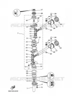 VILEBREQUIN / PISTON pour Yamaha E15D Enduro, Manual Starter, Tiller Handle, Manual Tilt, Pre-Mixing de 2003