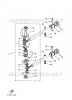 VILEBREQUIN / PISTON pour Yamaha E8D Enduro, Manual Starter, Tiller Handle, Manual Tilt, Pre-Mixing, Shaft 20