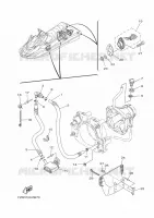 HULL & DECK pour Yamaha FX CRUISER SVHO de 2017