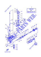 CARTER INFERIEUR ET TRANSMISSION 1 pour Yamaha 20D Manual Starter, Tiller Handle, Manual Tilt, Pre-Mixing, Shaft 15