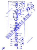 VILEBREQUIN / PISTON pour Yamaha 20D 2 Stroke, Manual Starter, Tiller Handle de 1998