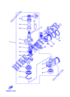 VILEBREQUIN / PISTON pour Yamaha 25B Manual Starter, Tiller Handle, Manual Tilt, Pre-Mixing, Shaft 15