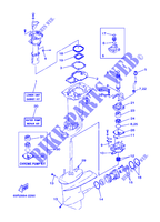 KIT DE REPARATION 2 pour Yamaha 25B Manual Starter, Tiller Handle, Manual Tilt, Shaft 20