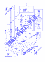 CARTER INFERIEUR ET TRANSMISSION 1 pour Yamaha 25B Manual Starter, Tilller Handle, Manual Tilt, Pre-Mixing, Shaft 15