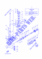 CARTER INFERIEUR ET TRANSMISSION 1 pour Yamaha 25N Manual Starter, Tiller Handle, Manual Tilt, Oil injection, Shaft 20
