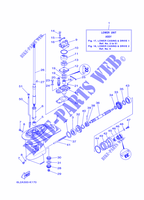 CARTER INFERIEUR ET TRANSMISSION 1 pour Yamaha 25N Manual Starter, Tilller Handle, Manual Tilt, Pre-Mixing, Shaft 15