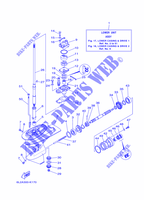 CARTER INFERIEUR ET TRANSMISSION 1 pour Yamaha 25N Manual Starter, Tilller Handle, Manual Tilt, Pre-Mixing, Shaft 20