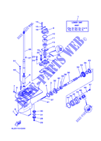 CARTER INFERIEUR ET TRANSMISSION 1 pour Yamaha 25M Manual Starter, Tiller Handle, Manual Tilt, Pre-Mixing, Shaft 15