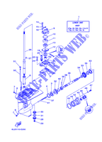 CARTER INFERIEUR ET TRANSMISSION 1 pour Yamaha 25N Manual Starter, Tiller Handle, Manual Tilt, Pre-Mixing, Shaft 20