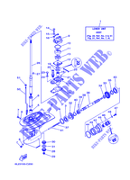 CARTER INFERIEUR ET TRANSMISSION 1 pour Yamaha 25N Manual Starter, Tiller Handle, Manual Tilt, Pre-Mixing, Shaft 15