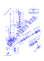 CARTER INFERIEUR ET TRANSMISSION 1 pour Yamaha 25N Manual Starter, Tiller Handle, Manual Tilt, Pre-Mixing, Shaft 15