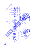 VILEBREQUIN / PISTON pour Yamaha 30H Manual Starter, Tiller Handle, Manual Tilt, Pre-Mixing, Shaft 15