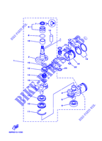 VILEBREQUIN / PISTON pour Yamaha E25B Enduro, Manual Starter, Tilller Handle, Manual Tilt, Shaft 20