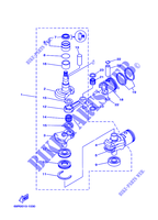 VILEBREQUIN / PISTON pour Yamaha E25B Enduro, Manual Starter, Tilller Handle, Manual Tilt, Pre-Mixing, Shaft 20