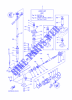 CARTER INFERIEUR ET TRANSMISSION 1 pour Yamaha E25B Enduro, Manual Starter, Tilller Handle, Manual Tilt, Pre-Mixing, Shaft 20