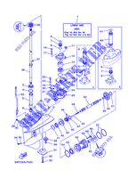 CARTER INFERIEUR ET TRANSMISSION 1 pour Yamaha E25B Enduro, Manual Starter, Tilller Handle, Manual Tilt, Pre-Mixing, Shaft 15
