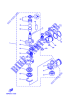 VILEBREQUIN / PISTON pour Yamaha E25B Enduro, Manual Starter, Tilller Handle, Manual Tilt, Pre-Mixing, Shaft 15