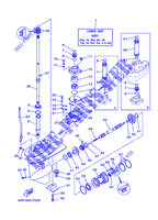 CARTER INFERIEUR ET TRANSMISSION 1 pour Yamaha E25B Manual Starter, Tiller Handle, Manutl Tilt, Pre-Mixing Fuel and oil de 2008