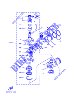 VILEBREQUIN / PISTON pour Yamaha E25B Manual Starter, Tiller Handle, Manutl Tilt, Pre-Mixing Fuel and oil de 2008