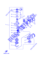VILEBREQUIN / PISTON pour Yamaha E25B Enduro, Manual Starter, Tilller Handle, Manual Tilt, Pre-Mixing de 2007