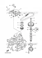 POMPE A HUILE pour Yamaha F20L Manual Starter, Tiller Handle, Manual Tilt, Shaft 20