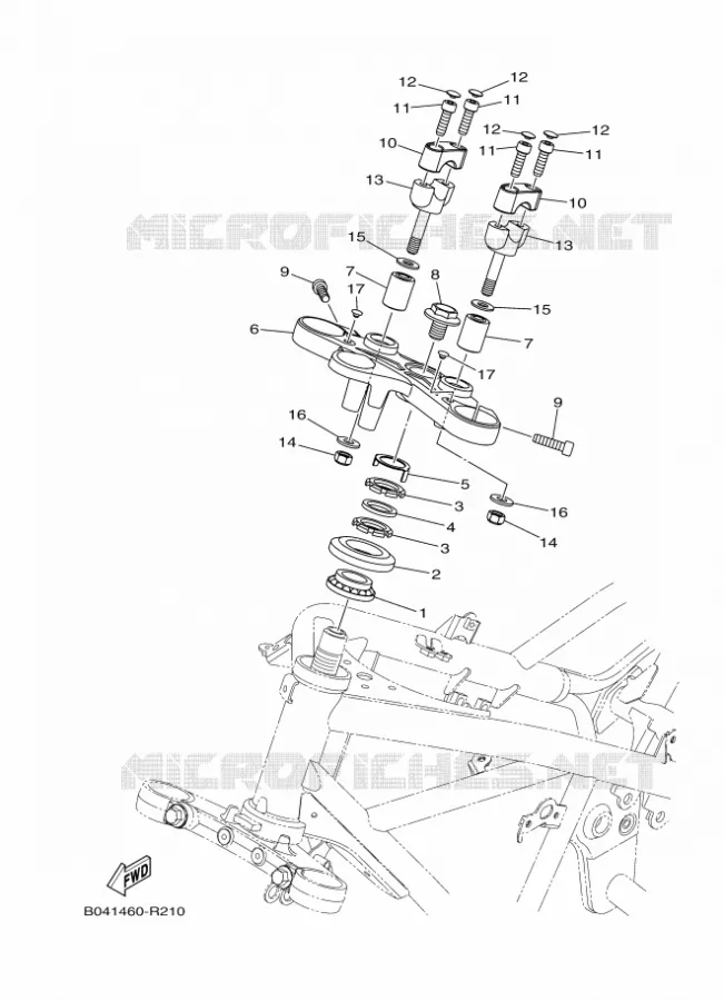 DIRECTION Yamaha MOTO 300 2019 MT  MTN320-A