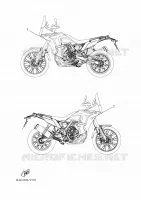 EMBLEME pour Yamaha TENERE 700 WORLD RALLY de 2023