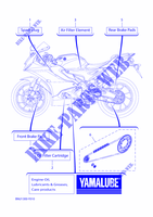 PIECES D'ENTRETIEN pour Yamaha YZF-R125 de 2023
