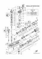 PIÈCES OPTIONNELLES 4 pour Yamaha F250NCA de 2020