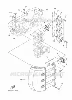 ADMISSION pour Yamaha F100BETX de 2021
