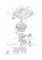 ALLUMAGE pour Yamaha FT25FETL de 2021