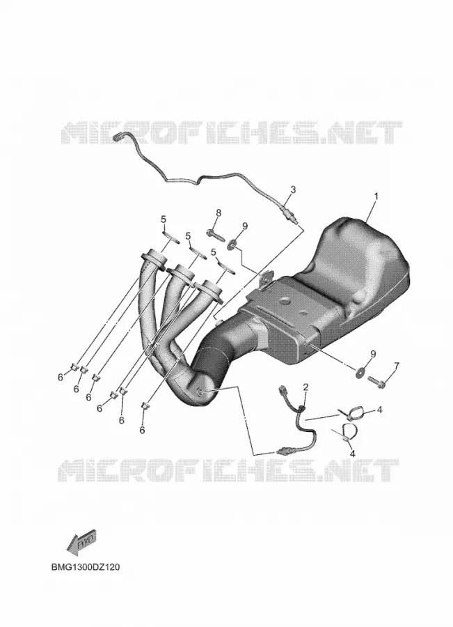 ECHAPPEMENT Yamaha MOTO 900 2024 XSR  MTM890D