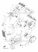 ADMISSION pour Yamaha SIDEWINDER X-TX LE 146 de 2023