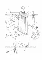 RADIATEUR / DURITES pour Yamaha YZ 85 de 2024
