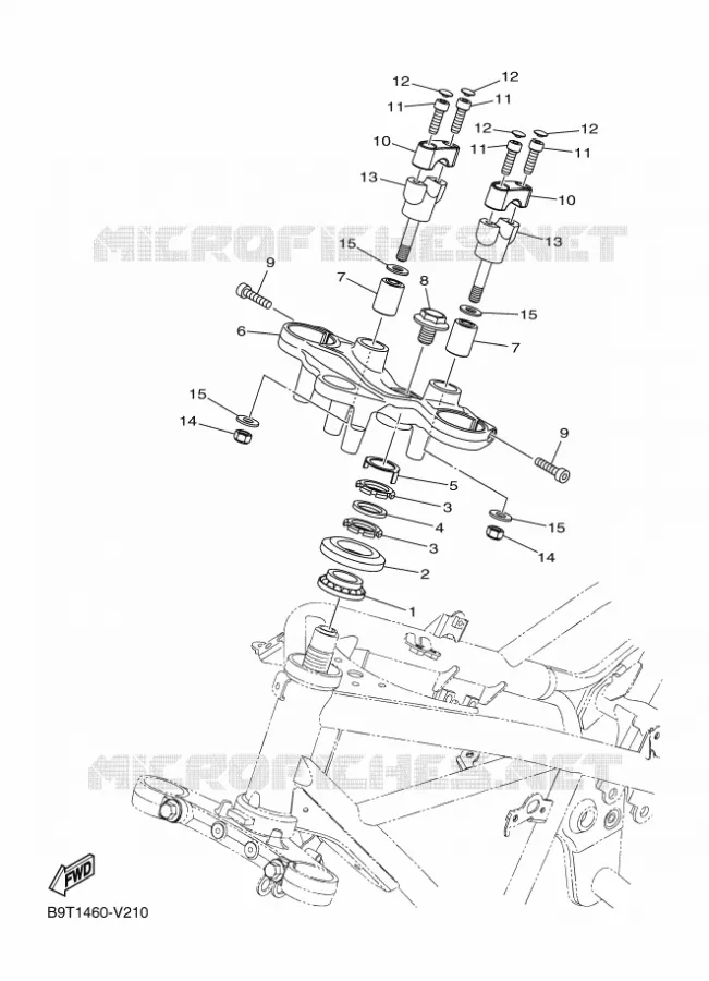 DIRECTION Yamaha MOTO 300 2024 MT  MTN320-A