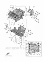 CARTER MOTEUR pour Yamaha XSR 900 de 2023