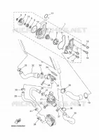 POMPE A EAU / DURITES pour Yamaha XSR 900 de 2020