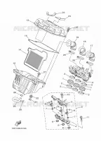 ADMISSION 2 pour Yamaha MT-09 ABS de 2020