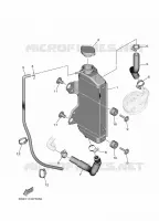RADIATEUR / DURITES pour Yamaha YZ 65 de 2025