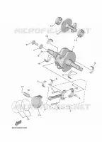 VILEBREQUIN / PISTON pour Yamaha TRICITY 300 de 2025