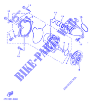 POMPE A EAU / DURITES pour Yamaha TDM850 de 1998
