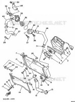 RADIATEUR / DURITES pour Yamaha TDM850N (37KW) de 1992