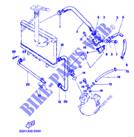 RADIATEUR / DURITES pour Yamaha TDR125 de 1991